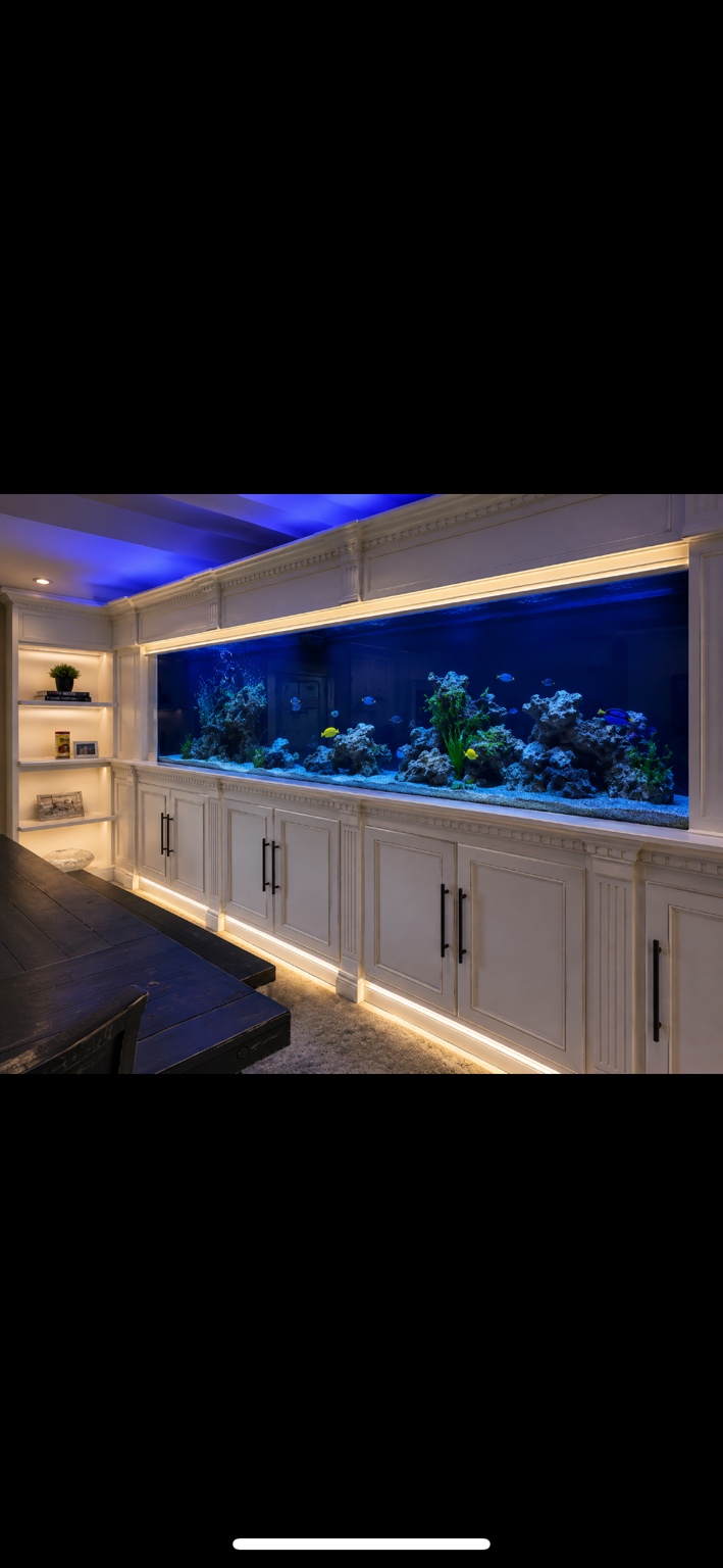 Large white custom aquarium installation