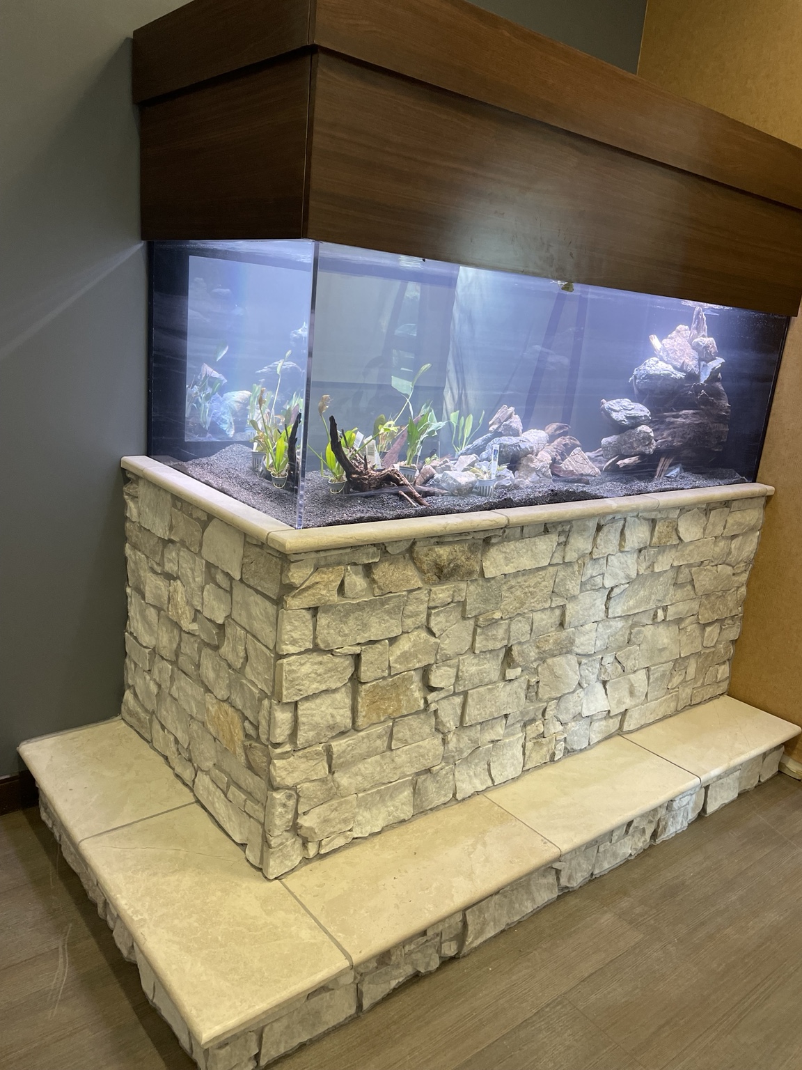 Custom aquarium installation with stone base and wood canopy