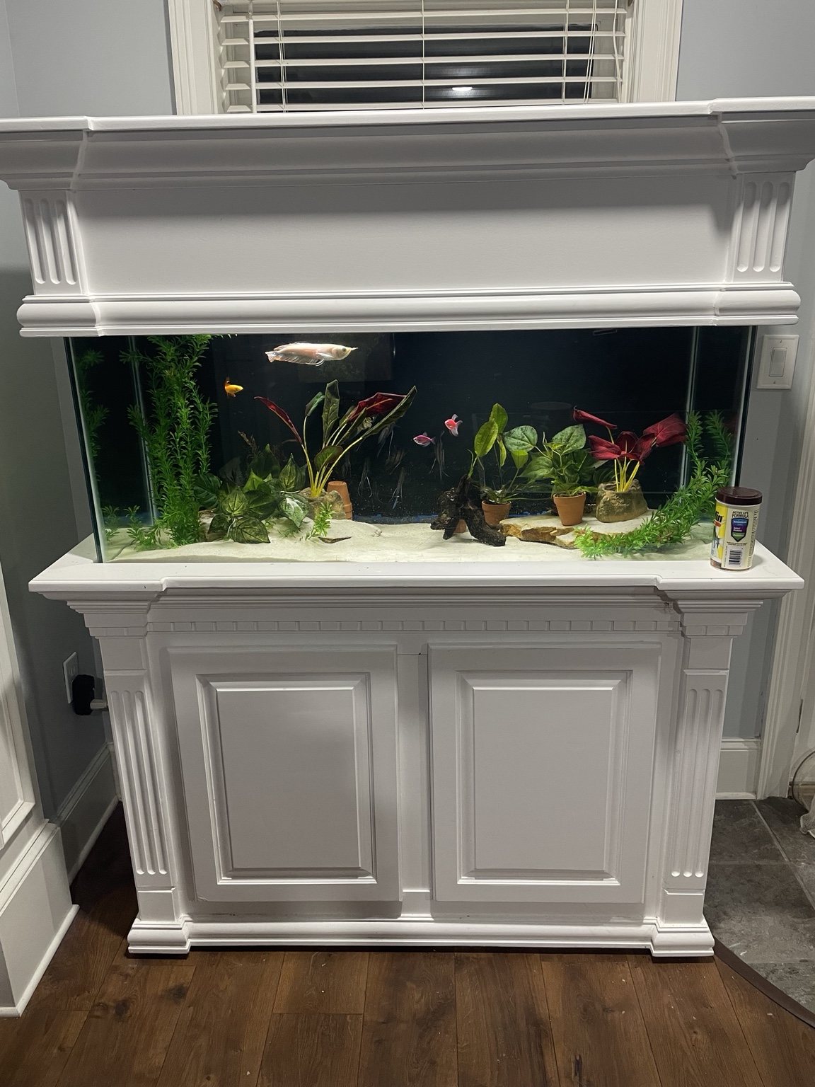 White classic aquarium cabinetry